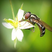 /album/unicopy-com/photolia-a02-jpg/