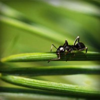 /album/unicopy-com/photolia-a05-jpg/