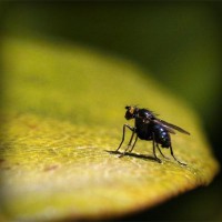 /album/unicopy-com/photolia-a07-jpg/