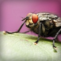 /album/unicopy-com/photolia-a08-jpg/